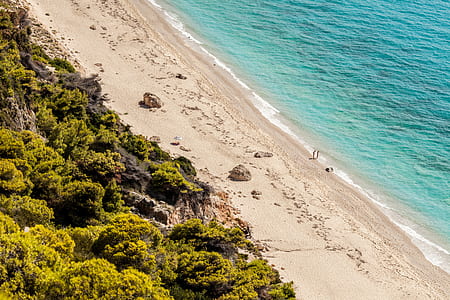 green trees and seashore at daytime thumbnail