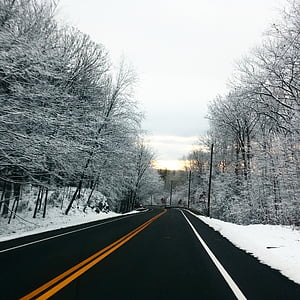 straight road between leafless trees covered with snow thumbnail