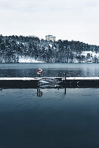 grayscale photo of buoy beside lake thumbnail