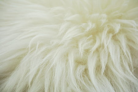 white fur thumbnail