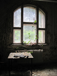 vine plant on glass window with sun rays from outside coming in side the room thumbnail