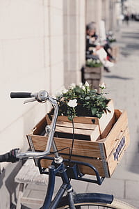 white roses in brown wooden box on bicycle basket thumbnail
