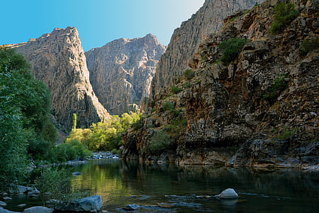 green leaf trees in between gray mountains near calm body of water at daytime thumbnail