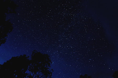 stars at the sky during nighttime thumbnail