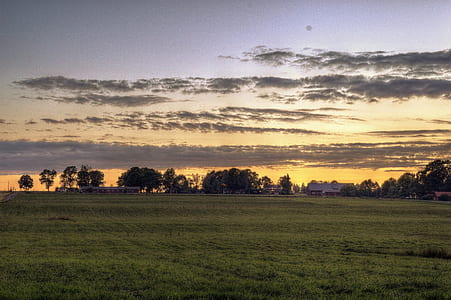 landscape, nature, clouds, field thumbnail
