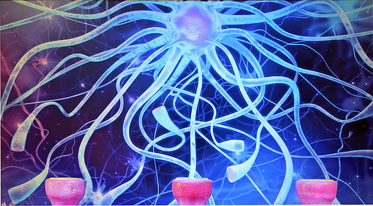 blue and pink veins and nerve wallpaper thumbnail