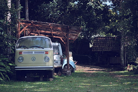 parked gray Volkswagen van near green leafed plant thumbnail