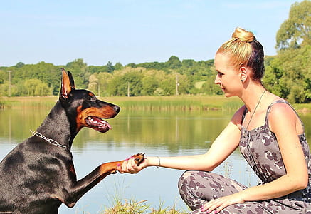 woman wearing gray sleeveless top holding black and brown dog thumbnail
