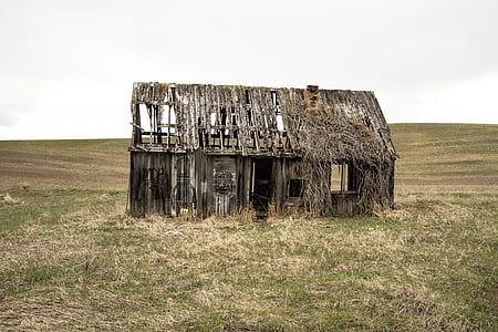 abandoned brown wooden house on green grass field under cloudy sky thumbnail
