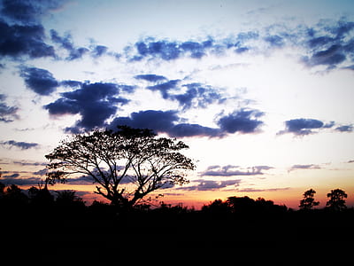 Photo of Sunset thumbnail
