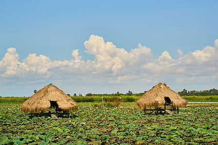two brown huts on green field under white clouds and blue sky thumbnail