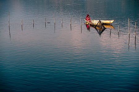 wood, fishing, sea, dawn thumbnail