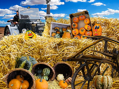 pumpkins and hay illustration thumbnail