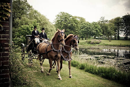 two men riding carriage thumbnail