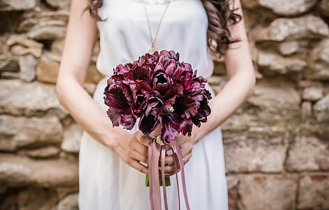 red flowers thumbnail