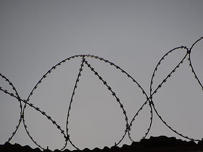 Barbed . Wires thumbnail