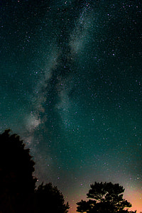 silhouette of trees over sky with stars at sunset thumbnail