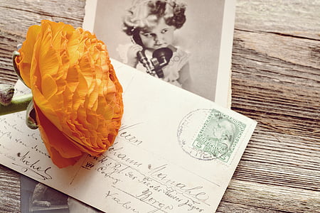 orange petaled flower on postage thumbnail