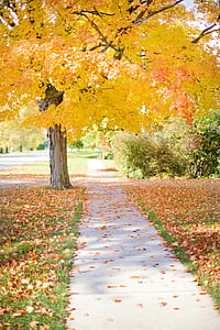 hallway in between green grass during daytime thumbnail