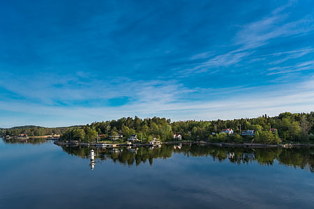 green high trees beside body of water under blue and white sky at daytime thumbnail