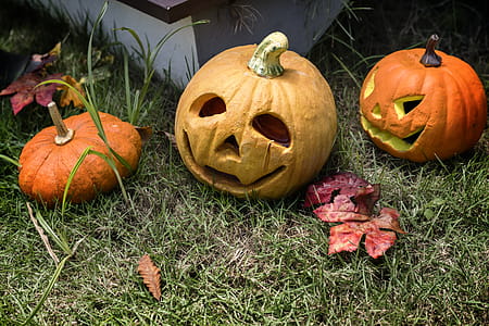 Jack-o-lantern Decor thumbnail