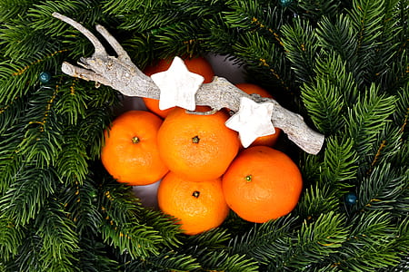 orange fruits and branch thumbnail