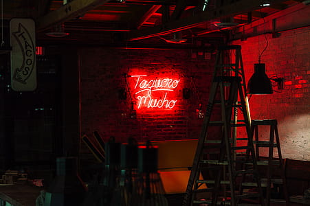 Taquero Mucho neon signage on wall near ladders thumbnail