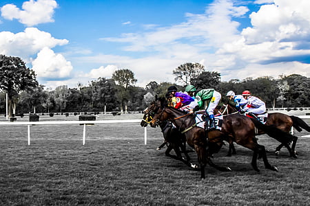 horse racings thumbnail