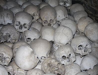white skull lot in dark place thumbnail