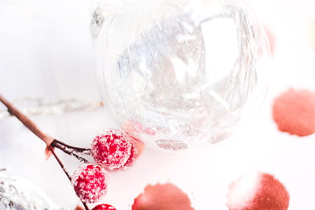 Selective Focus Photography of Frost Covered Red Cherries thumbnail