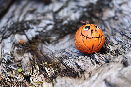 jack 'o lantern decor thumbnail