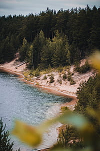 aerial photography of forest near lake thumbnail
