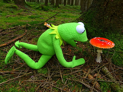 Kermit the Frog near mushroom thumbnail