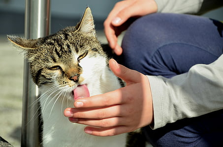 person holding cat's tongue thumbnail