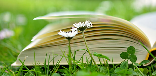 selective focus photo of open book on grass thumbnail