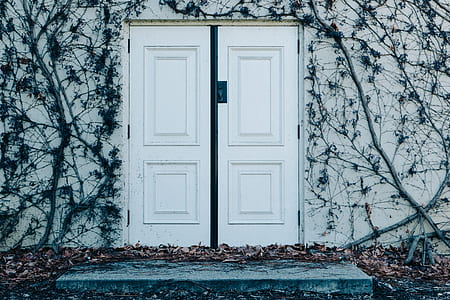 wall, door, entrance, ivy thumbnail