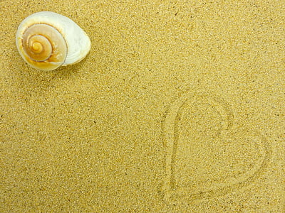 white shell near heart sand thumbnail
