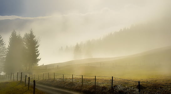 photography of field of fog thumbnail