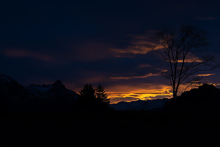 silhouette photography of trees and mountains thumbnail
