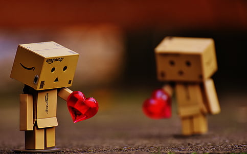 Danbo in shallow-focus shot thumbnail