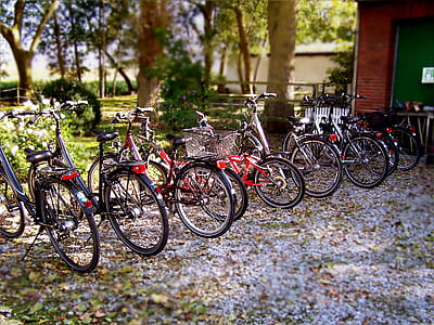 bicycle lot near green trees thumbnail