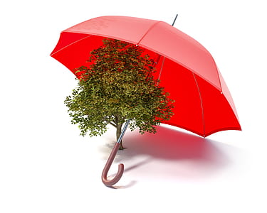 green tree miniature under red umbrella on white surface thumbnail