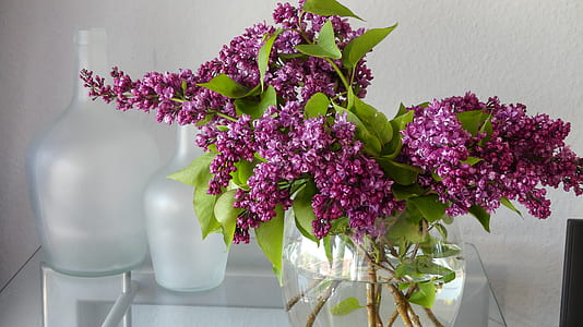 blooming purple petaled flower centerpiece inside glass vase thumbnail
