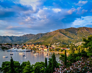photo of of boats near green trees and village thumbnail