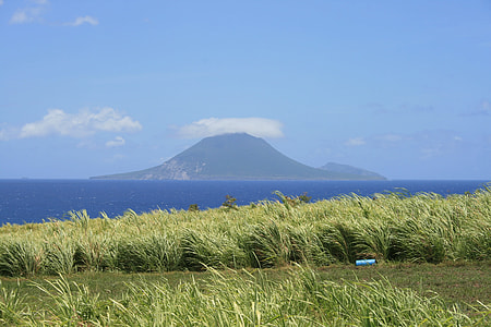 grass field on seashore under clear blue sky thumbnail