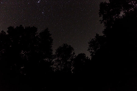 silhouette of tree during night time thumbnail