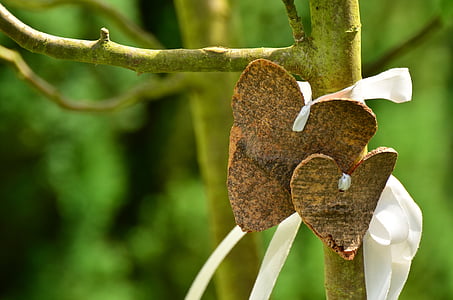 two brown hearts wedding decors hanged on tree close-up photography thumbnail