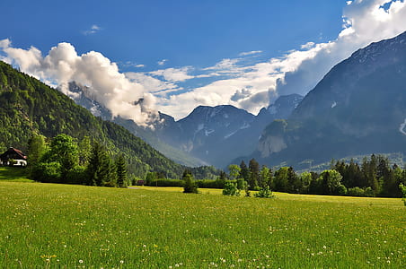 mountain range across green grass field under clear blue sky thumbnail