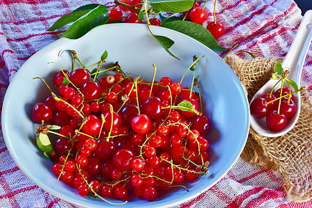 bowl of cherries thumbnail