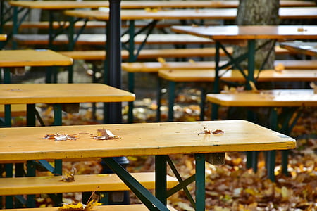 dried leaves on table thumbnail